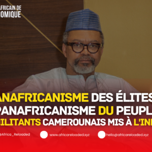 Le Panafricanisme des Élites VS le Panafricanisme du Peuple : les militants camerounais mis à l&rsquo;index